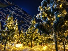 -华夏文旅海洋公园