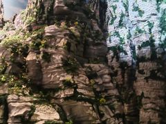 -房山世界地质公园博物馆