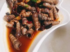 -华盛丰温州大排档(东三环南路店)