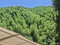 -将军关探险漂流