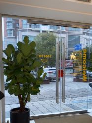 -WENDY·温迪皮肤管理