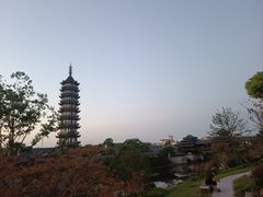 -奉贤海滩