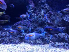 -成都浩海立方海洋公园