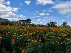 -云漫湖生态度假公园