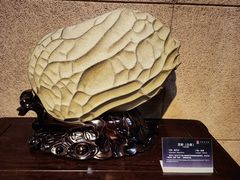 -中华赏石园