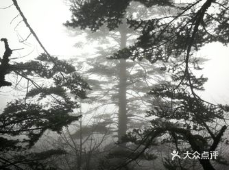 孩子一直很喜欢大自然，所以干脆乘着有时间带着孩子父母