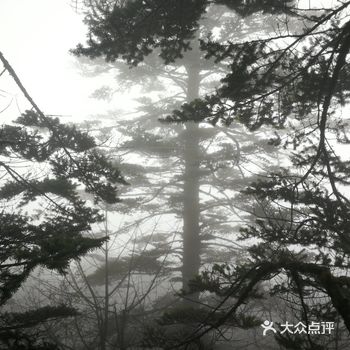 孩子一直很喜欢大自然，所以干脆乘着有时间带着孩子父母