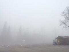 -武陵山森林公园