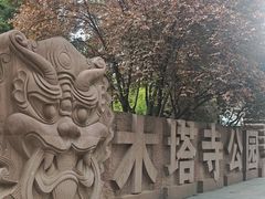 -木塔寺遗址生态公园
