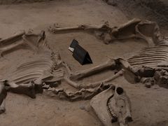 -洛阳周王城天子驾六博物馆