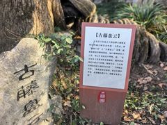 -绮园景区
