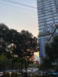 -蕾特恩专业祛痘国际连锁