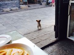 iphone_upload_pic-德居源