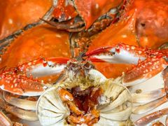 -金沙滩海鲜餐厅·海肠捞饭·手工水饺(梅江龙水园店)