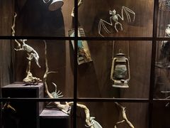 -逃脱反斗城沉浸剧情密室(阳光新业中心店)