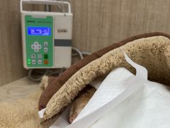 -北京观赏动物医院·24小时大型综合·猫专科·异宠专科