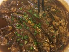 -扬州菜在上海(场北广场店)