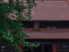 -苏州文庙(姑苏区)