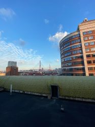 -复旦大学附属妇产科医院(杨浦院区)