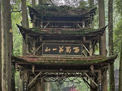 -青城甲(青城山店)