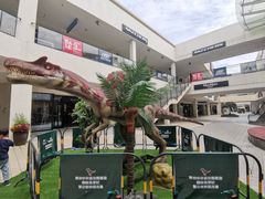 -宁波杉井奥特莱斯广场