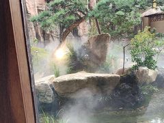 -忆江南·临江鱼馆