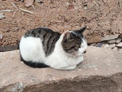 -清漾毛氏文化村