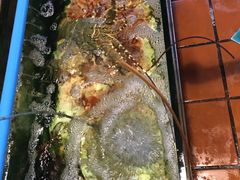 -尚味泰餐厅