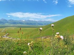 -新疆那拉提国家旅游度假区