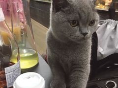 -红桃妖烧烤·啤酒