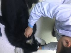 -全心全意连锁动物医院(加州店)