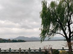 -杭州西湖柳莺里酒店·闻莺厅