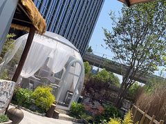 -炊江南·上海菜(国展华漕店)