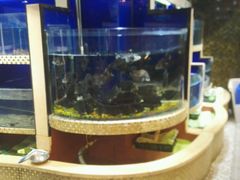 -福泉海码头(六里山店)