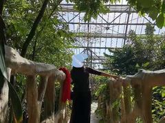 -南山植物园