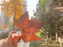-李师傅脆肚(梅林店)