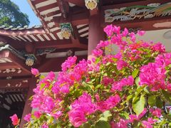 -乌山风景区
