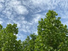 -武清南湖绿博园