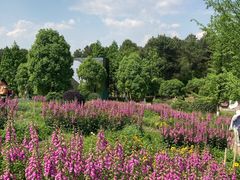 -铁山坪森林公园