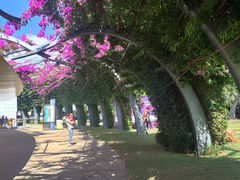 iphone_upload_pic-布里斯班南岸公园