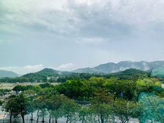 -广州市城市规划展览中心