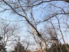 -八大关景区