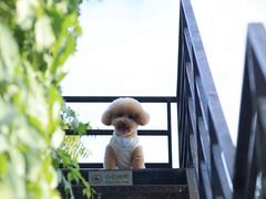 -小意思咖啡店(草桥店)
