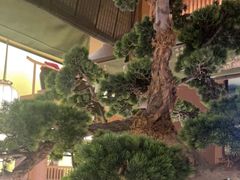 -弄堂里(西溪龙湖天街店)