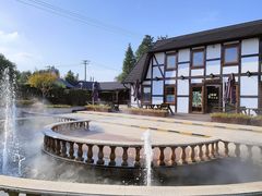 -金山农民画村-枫泾波兰倒置屋
