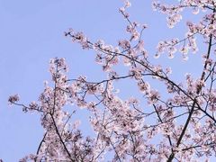 -苏州上方山国家森林公园