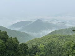 -莫干山风景区