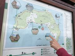 -东平洲海岸公园