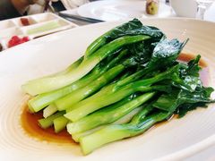 白灼芥兰-四季民福烤鸭店(前门店)