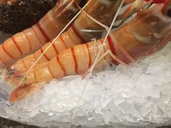 刺身拼盘-割烹旭日本料理(龙湖狮山天街店)